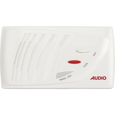 Audio 